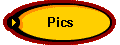  Pics 
