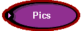  Pics 